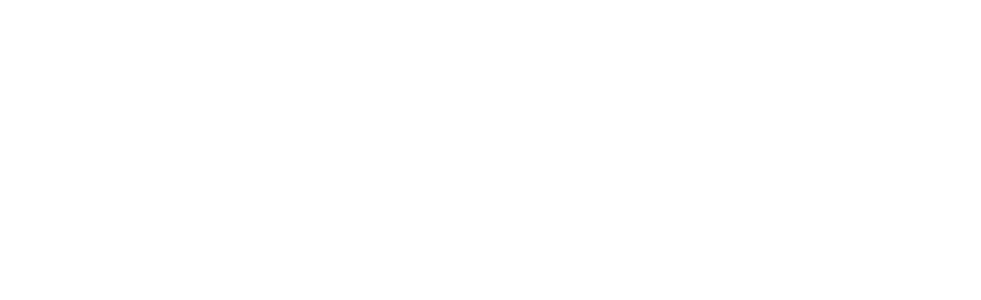 Preveia Logo